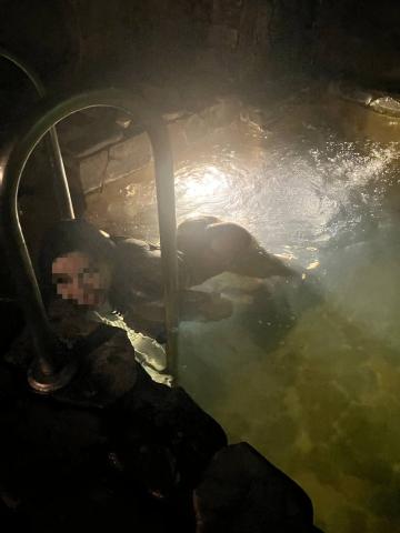 Лилия Высокий Сервис фото 3